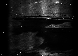 ascat_grayscale_ch2.png